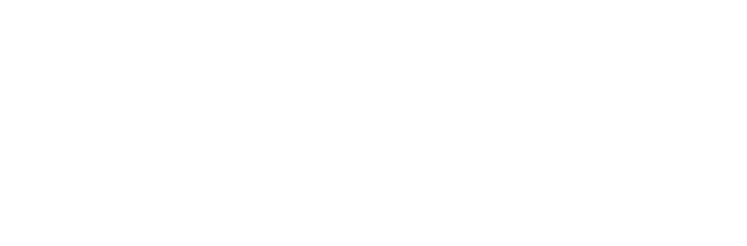 Zenith Academy